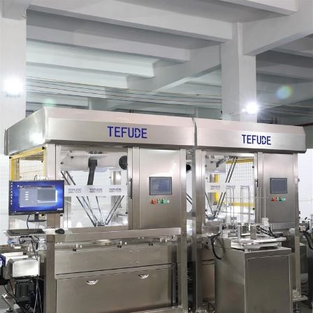 Automatic Feeding & Pallet Loading Packaging Line With Robotic Arm